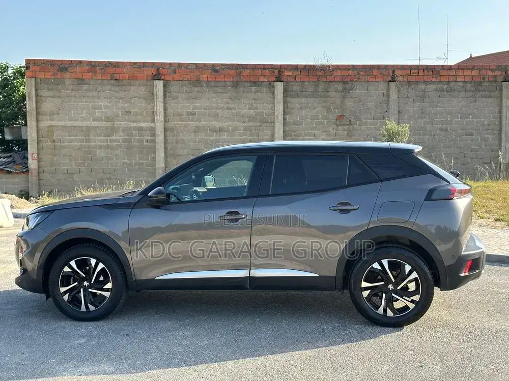 Peugeot 2008 2021 Gris