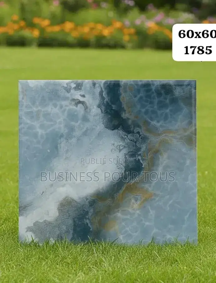 Carreaux Et Sanitaires
