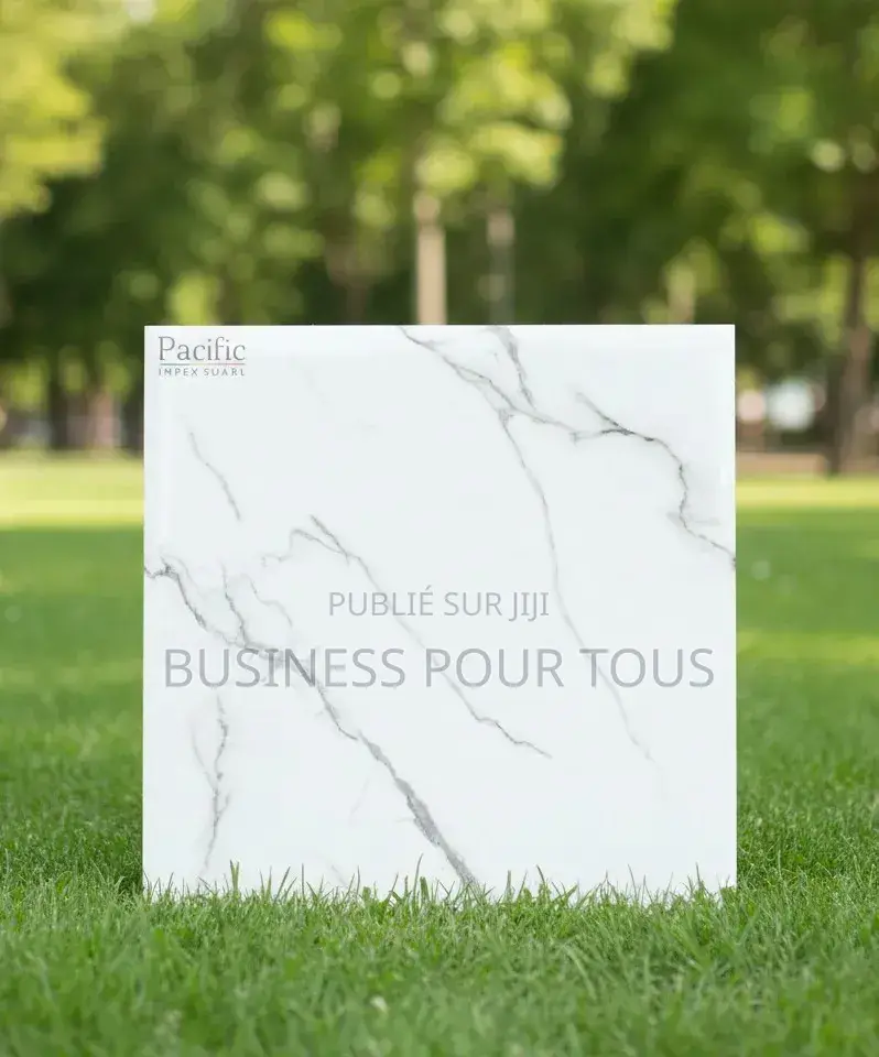 Carreaux Et Sanitaires