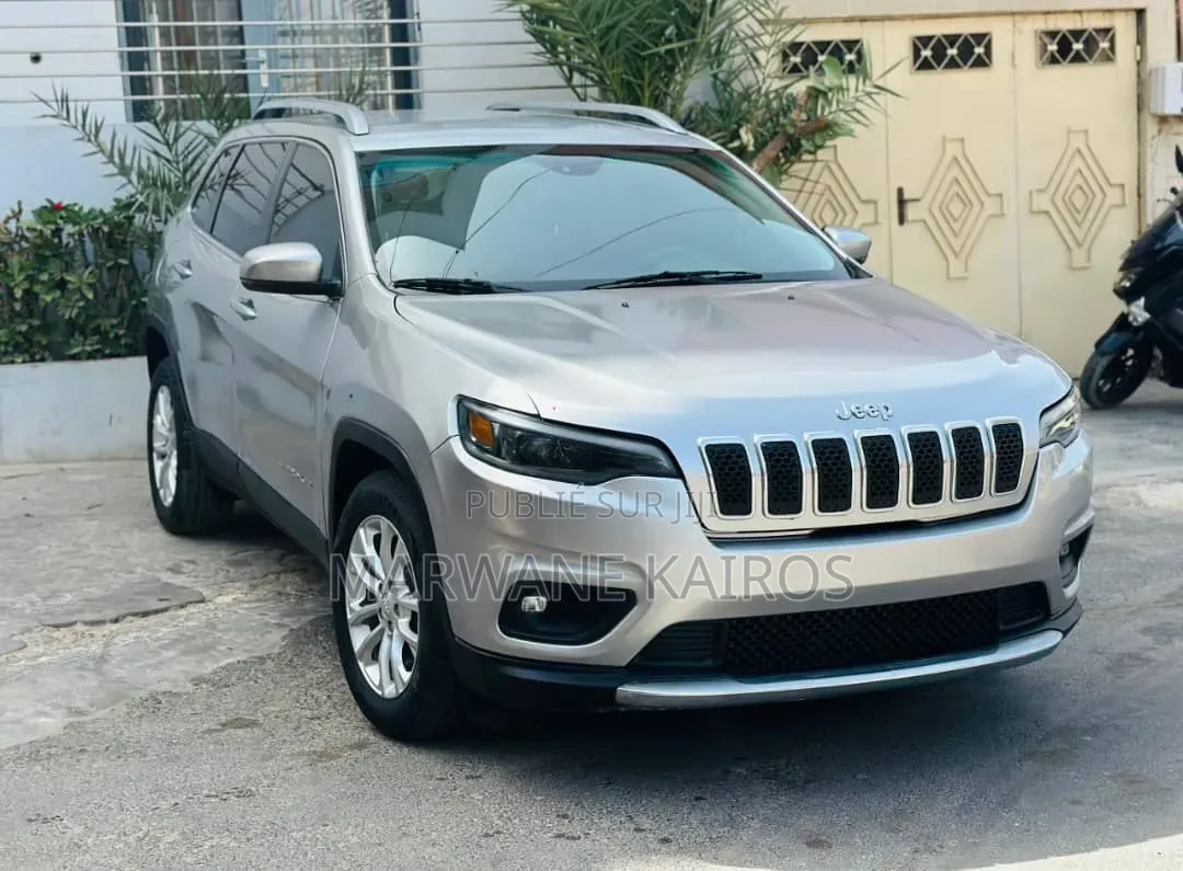 Jeep Cherokee 2019 Gris