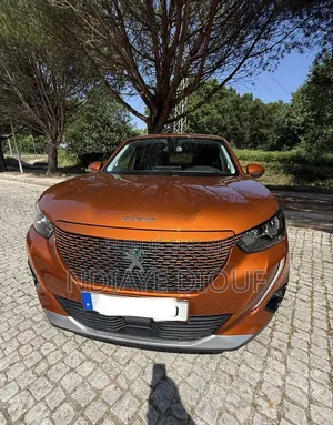 Peugeot 2008 2021 Orange