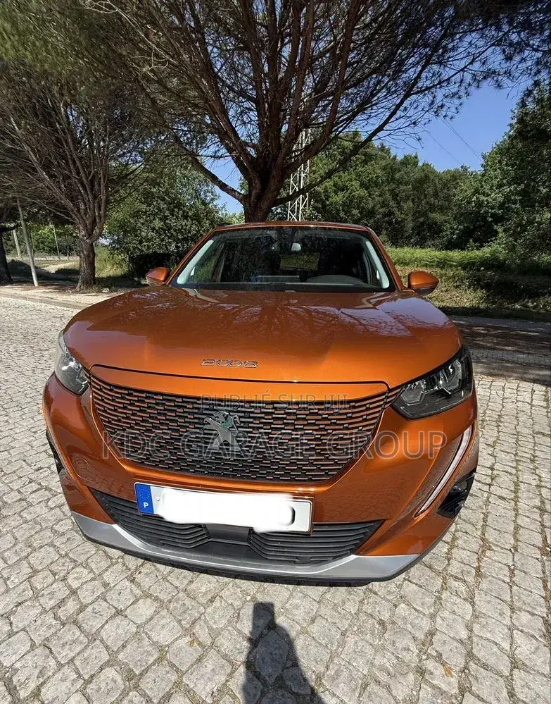 Peugeot 2008 2021 Orange