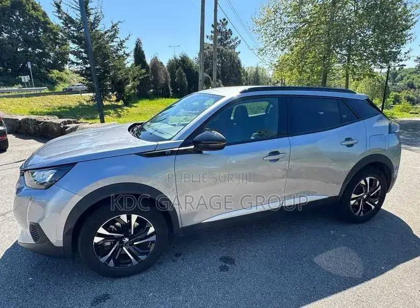 Peugeot 2008 2022 Gris