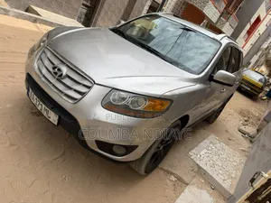 Hyundai Santa Fe 2011 Noir Mat