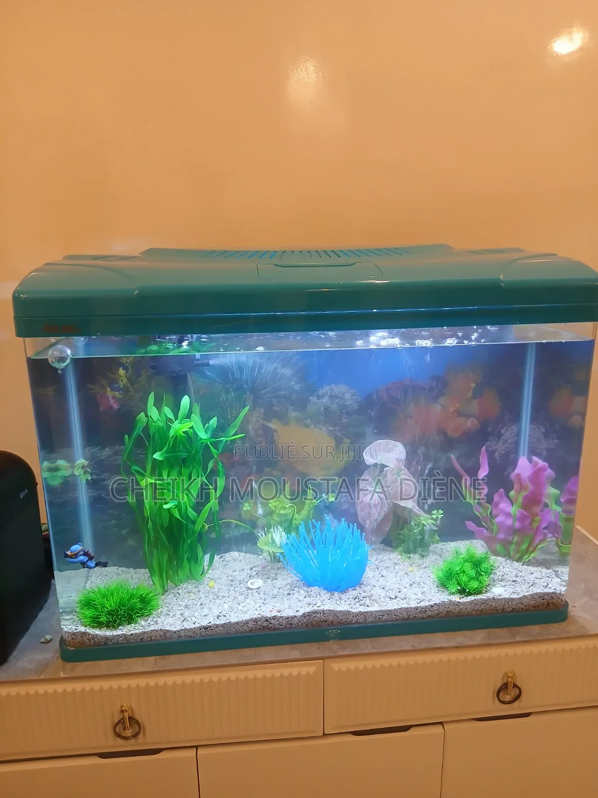 Khayraquarium