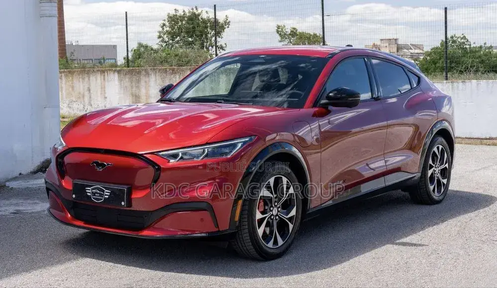 Ford Mustang Mach-E 2024 Rouge