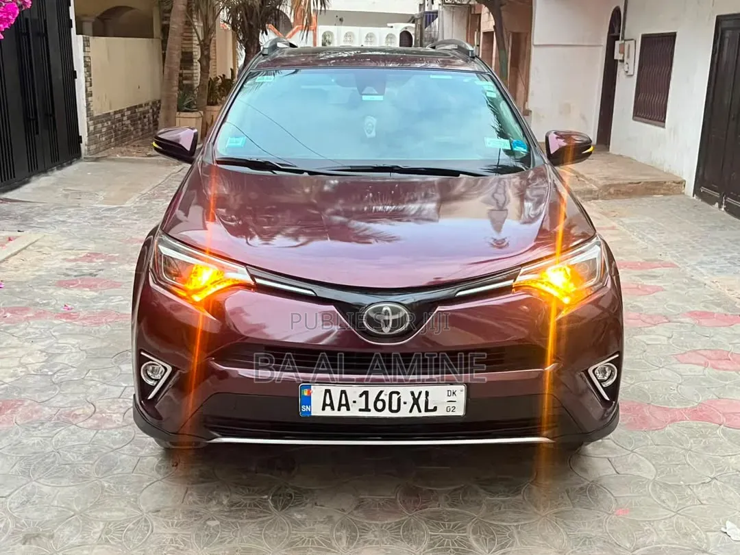 Toyota RAV4 2018 Rouge