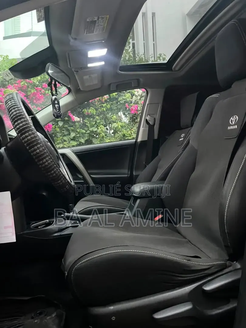 Toyota RAV4 2018 Rouge