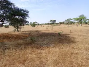 Terrain Agricole De 8.551 M2 Vers Notto Diobass