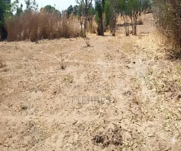 Terrain Agricole De 6.800 M2 Vers Notto Diobass – Thiès