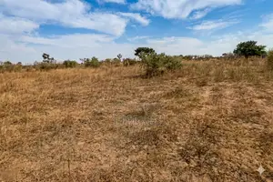 Terrain Agricole De 6.800 M2 Vers Notto Diobass – Thiès
