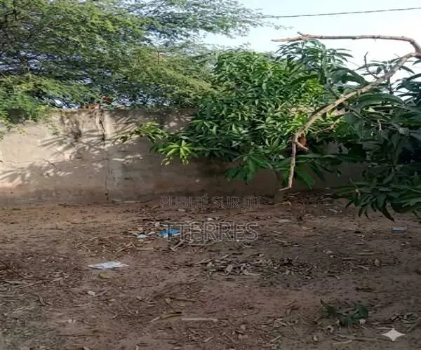 Verger Agricole De 9000 M2 Vers Sindia – Mbour