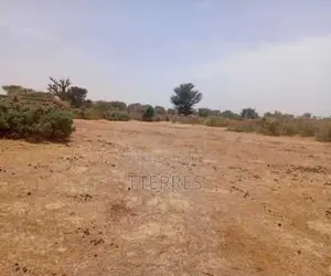 Terrain Agricole De 3,12 Hectares Vers Tassette – Thiès