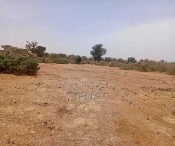 Terrain Agricole De 3,12 Hectares Vers Tassette – Thiès
