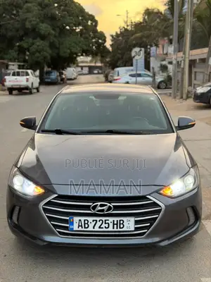 Hyundai Elantra 2017 Gris