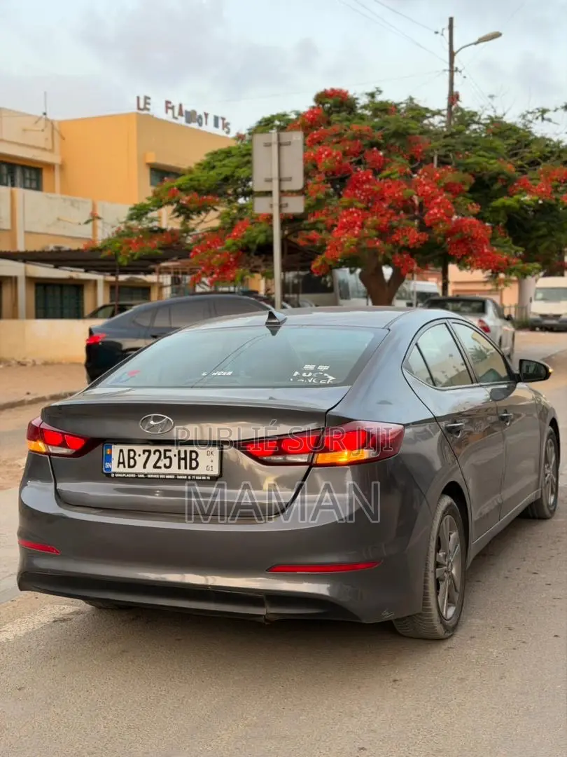 Hyundai Elantra 2017 Gris