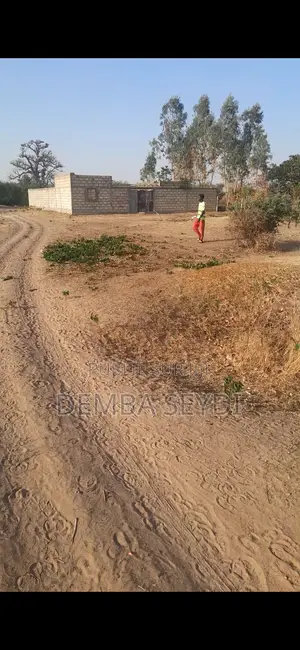 Terrain Mbour