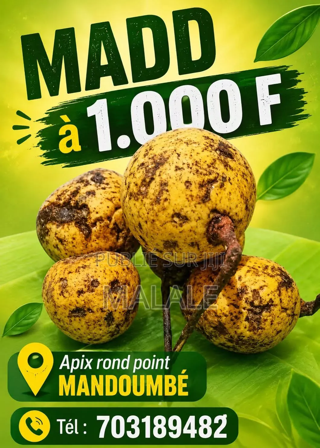 Made Nature