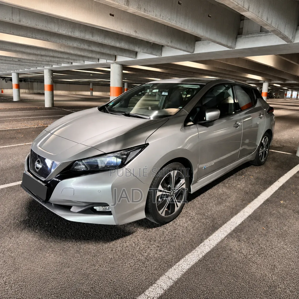 Nissan Feuille 2019 Gris