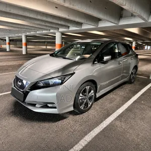 Nissan Feuille 2019 Gris