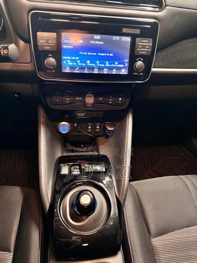 Nissan Feuille 2019 Gris