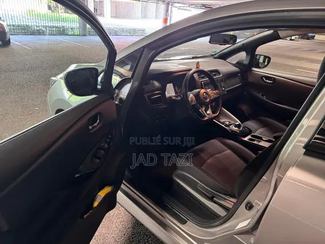 Nissan Feuille 2019 Gris