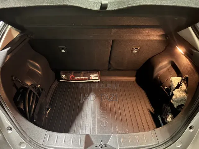 Nissan Feuille 2019 Gris