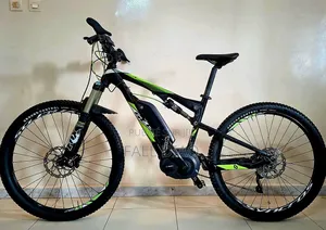Autre 2024 Vert
