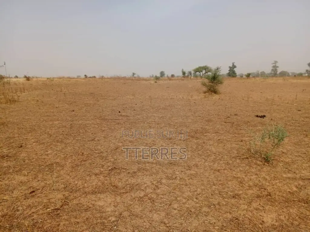 L’Emplacement Industriel De 1,06 Hectare À Tassette – Thiès