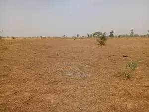 L’Emplacement Industriel De 1,06 Hectare À Tassette – Thiès