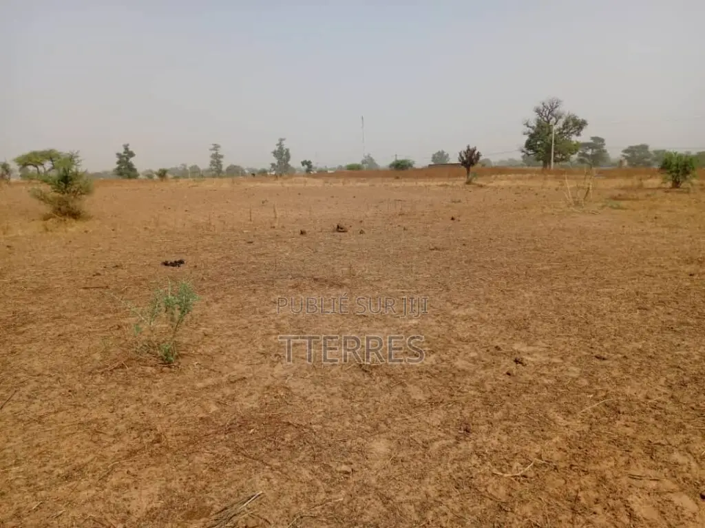 L’Emplacement Industriel De 1,06 Hectare À Tassette – Thiès