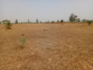 L’Emplacement Industriel De 1,06 Hectare À Tassette – Thiès