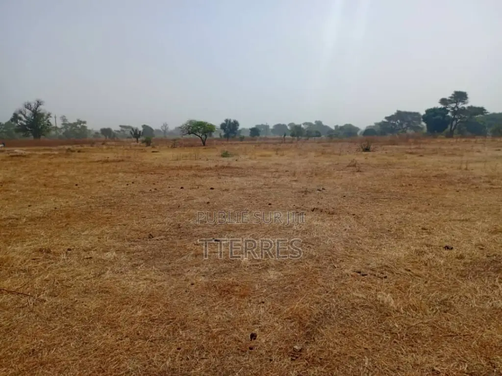 L’Emplacement Industriel De 1,06 Hectare À Tassette – Thiès