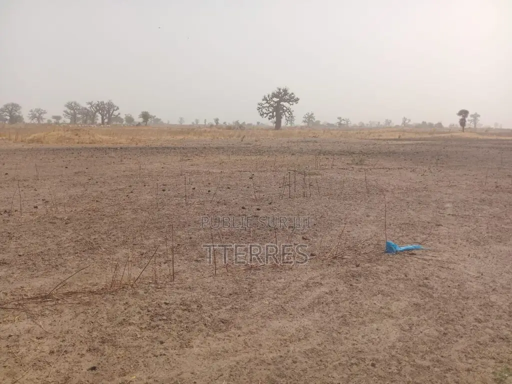 Terrain Industriel De 2 Hectares Vers Sindia – Mbour