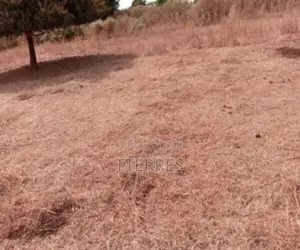 Saisissez Cet Emplacement Industriel De 3 600 M2 À Tassette –Thiès !