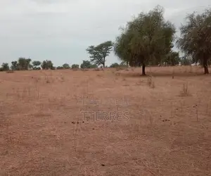 Saisissez Cet Emplacement Industriel De 3 600 M2 À Tassette –Thiès !