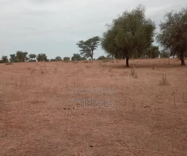Saisissez Cet Emplacement Industriel De 3 600 M2 À Tassette –Thiès !