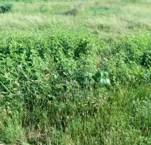 Votre Projet Sur 2,50 Hectares Stratégiques À Séssène – Mbour !