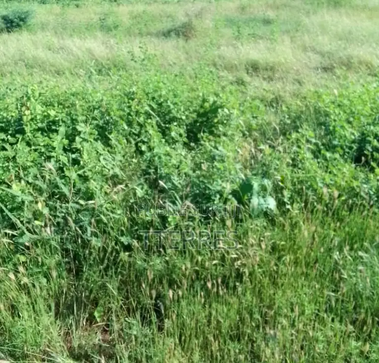 Votre Projet Sur 2,50 Hectares Stratégiques À Séssène – Mbour !