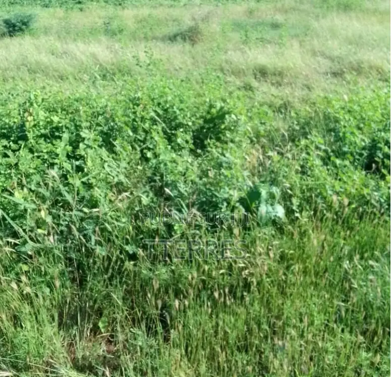 Votre Projet Sur 2,50 Hectares Stratégiques À Séssène – Mbour !