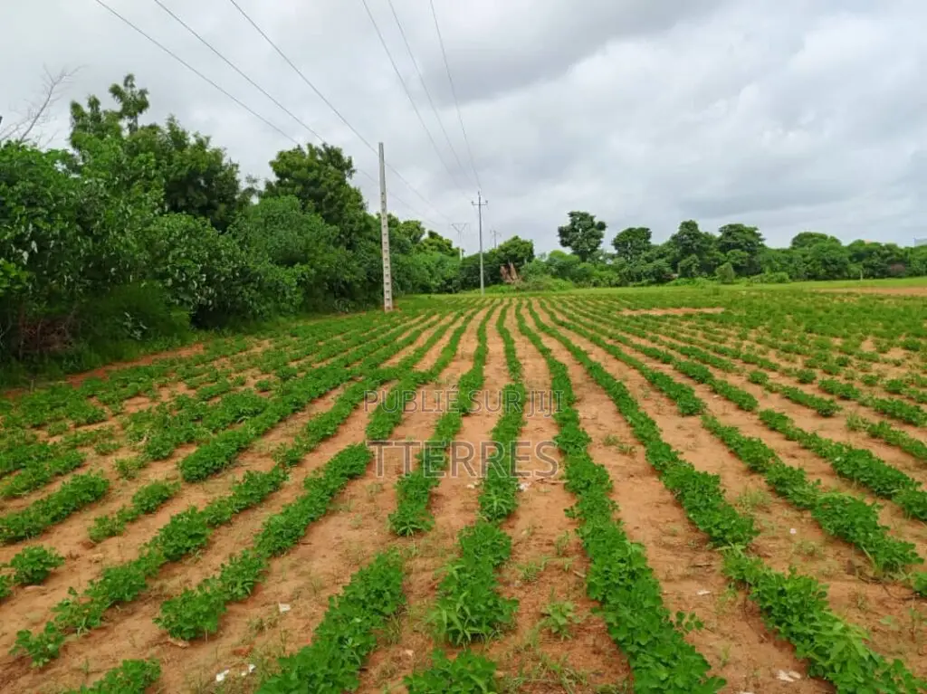 Terrain Industriel De 8555 M2 Vers Keur Moussa Thies