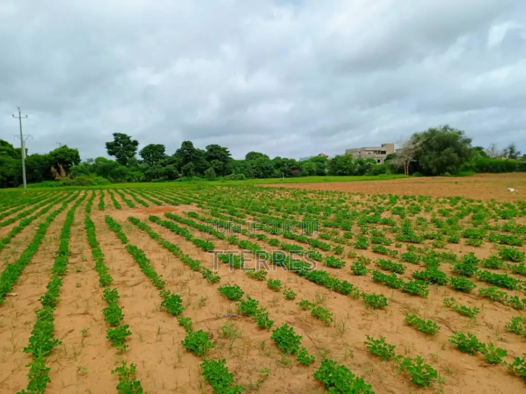Terrain Industriel De 8555 M2 Vers Keur Moussa Thies