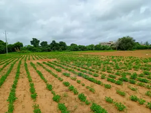 Terrain Industriel De 8555 M2 Vers Keur Moussa Thies