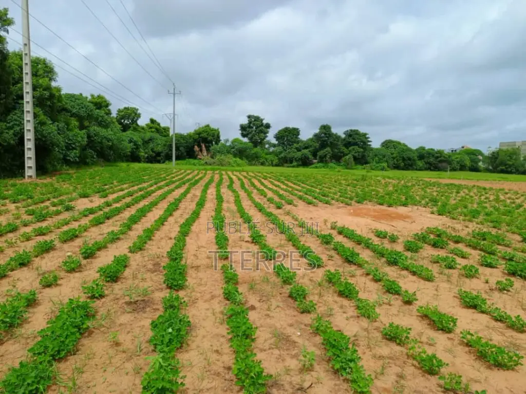 Terrain Industriel De 8555 M2 Vers Keur Moussa Thies
