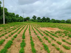 Terrain Industriel De 8555 M2 Vers Keur Moussa Thies