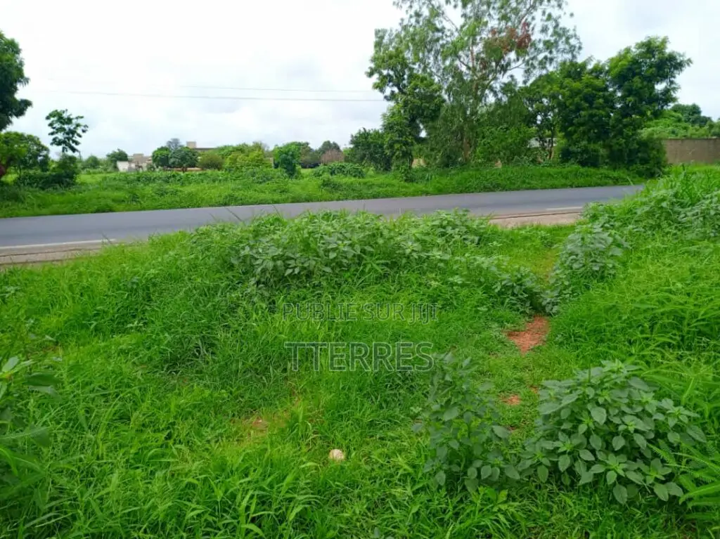 Terrain Industriel De 8555 M2 Vers Keur Moussa Thies