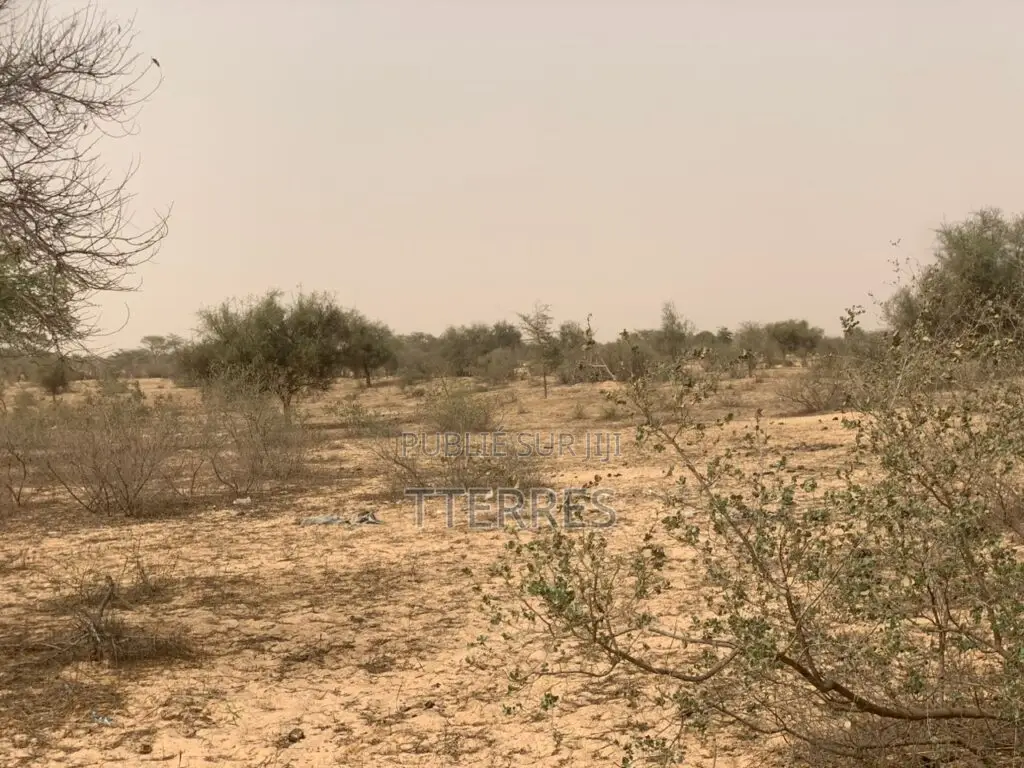 L’Emplacement Industriel De 10,18 Hectares À Diokoul – Kébémer !