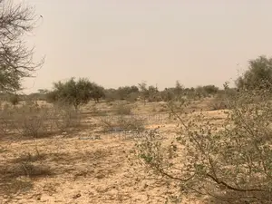 L’Emplacement Industriel De 10,18 Hectares À Diokoul – Kébémer !
