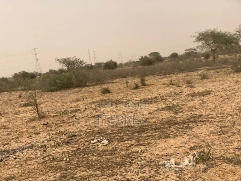 L’Emplacement Industriel De 10,18 Hectares À Diokoul – Kébémer !