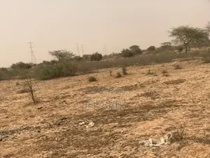 L’Emplacement Industriel De 10,18 Hectares À Diokoul – Kébémer !